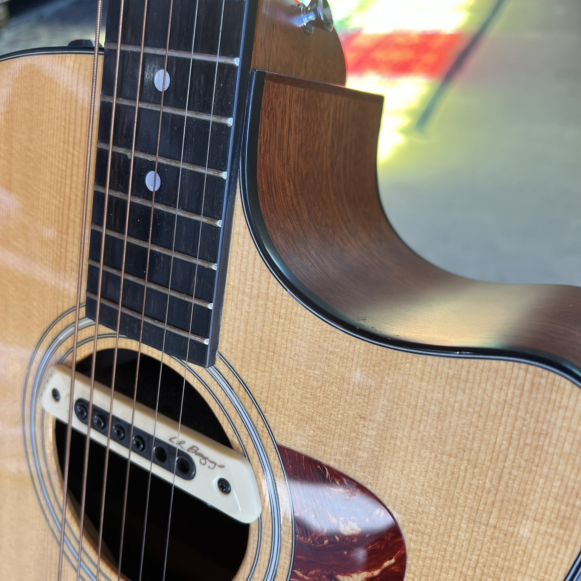 Taylor 310CE-L4 Acoustic Guitar