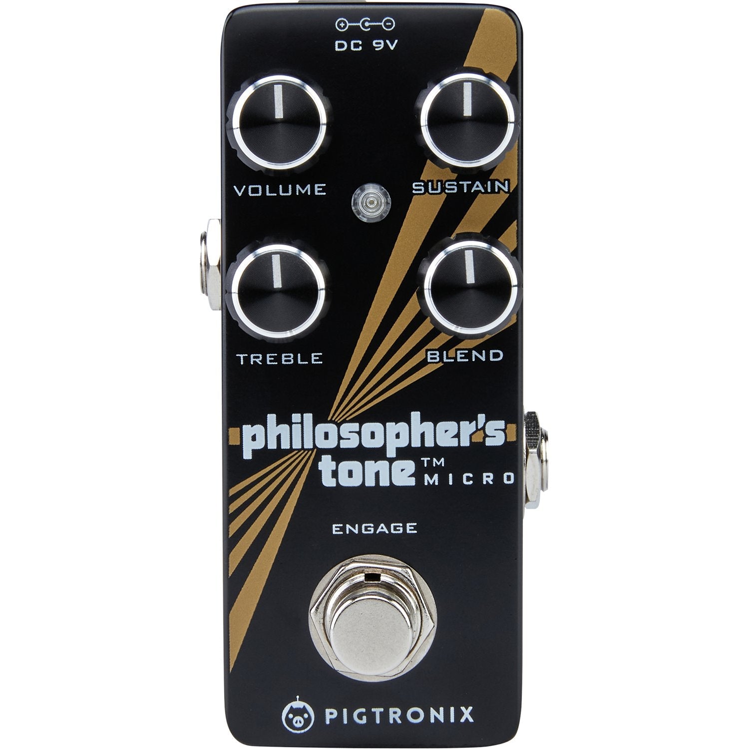 Pigtronix Philosopher's Tone Micro