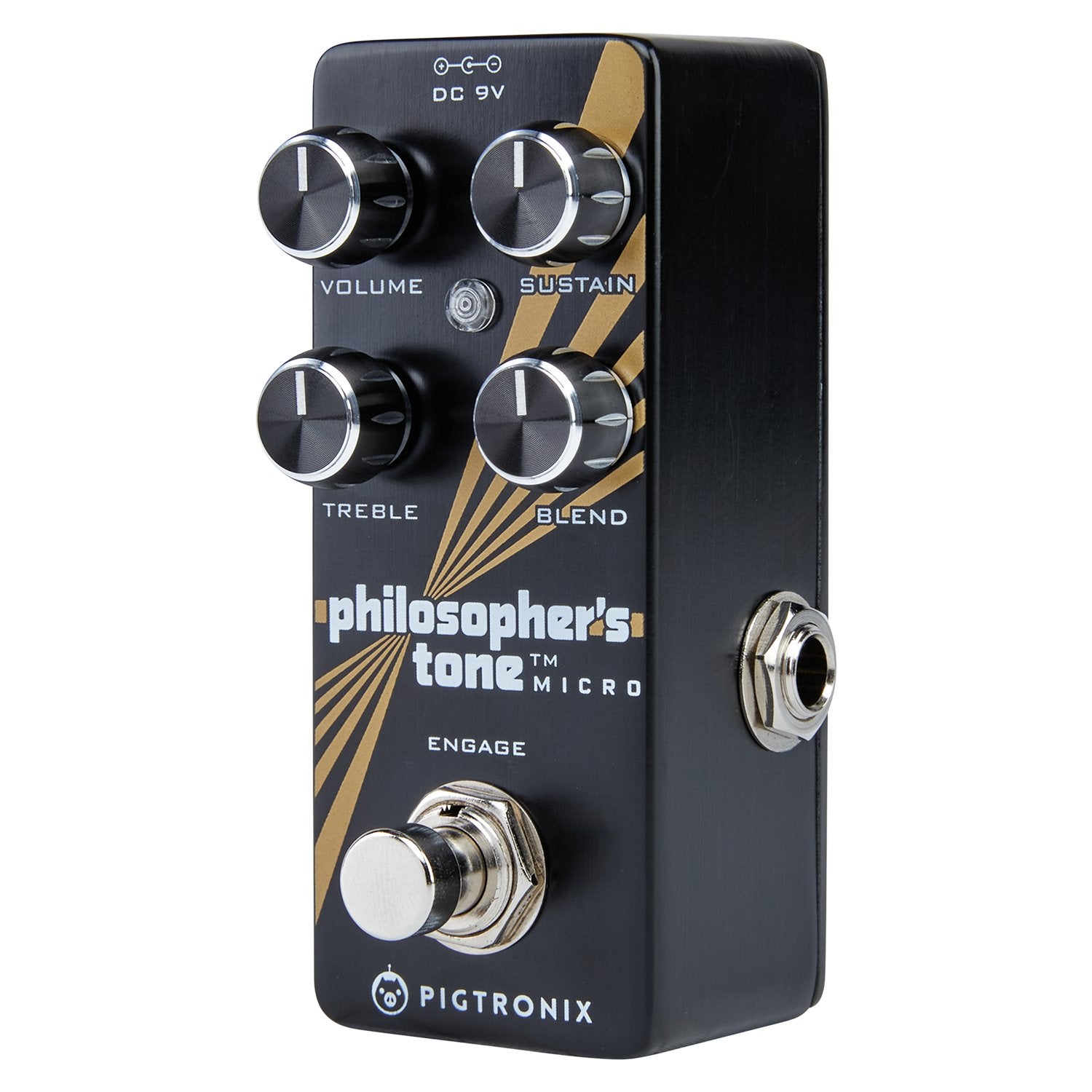 Pigtronix Gatekeeper Micro Hum Eliminator