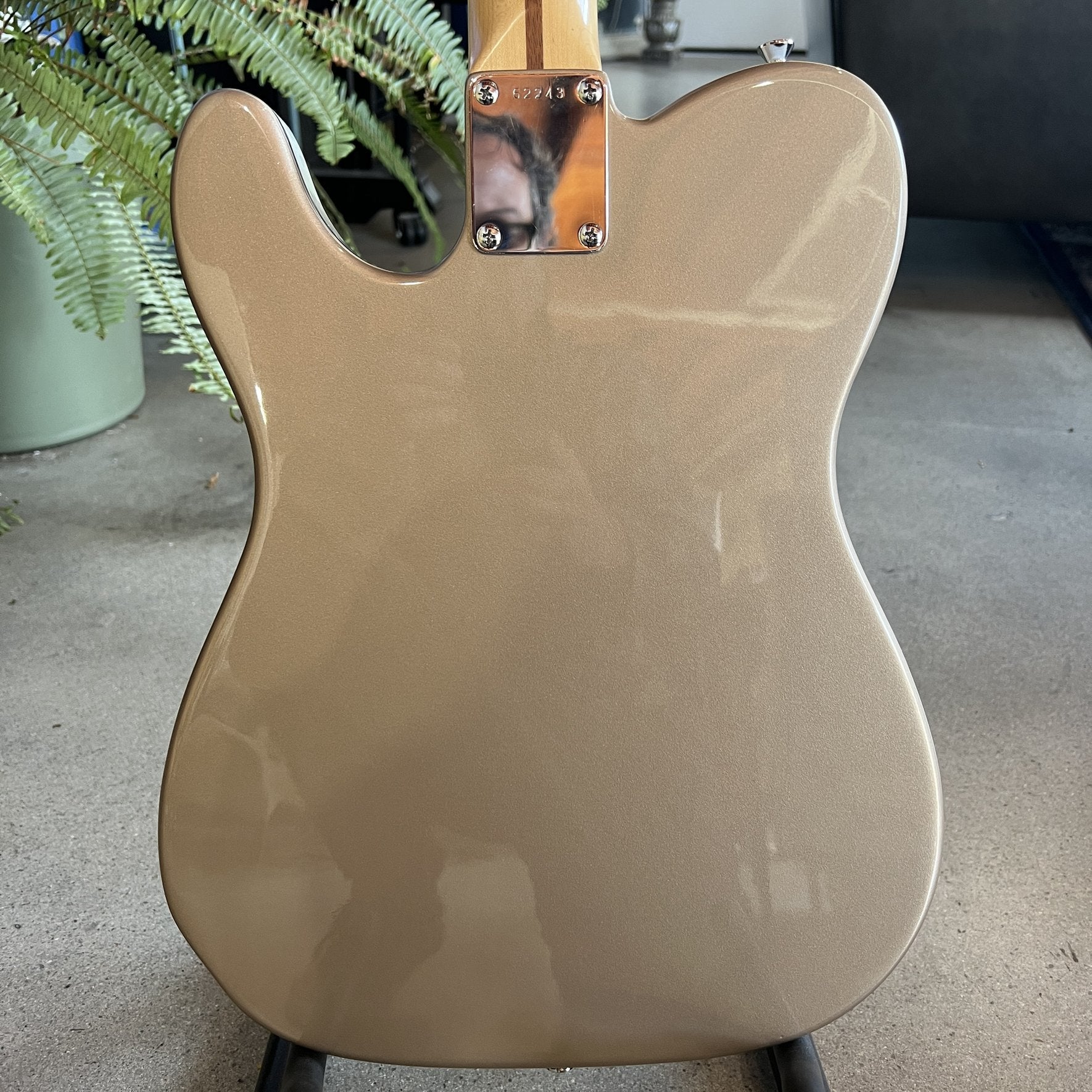 Revelator Guitars - RetroSonic Prophet - Shoreline Gold